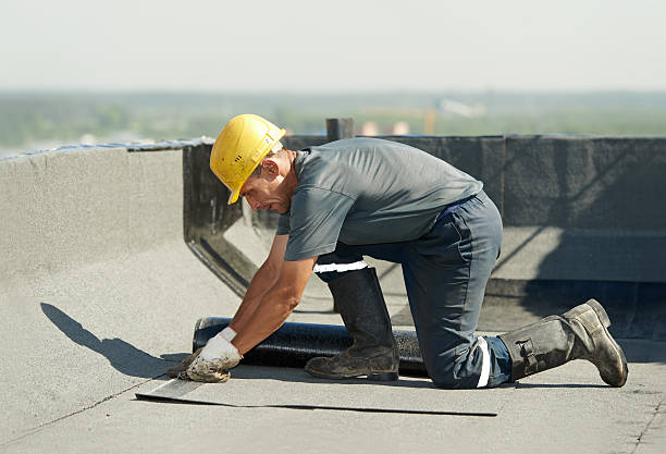 Best Cellulose Insulation in Ridgewood, NJ