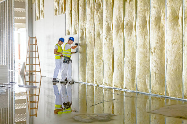 Best Commercial Insulation in Ridgewood, NJ